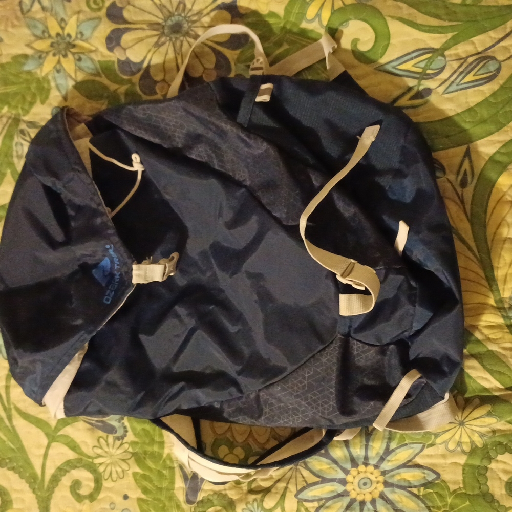 Ozark trail blue daypack